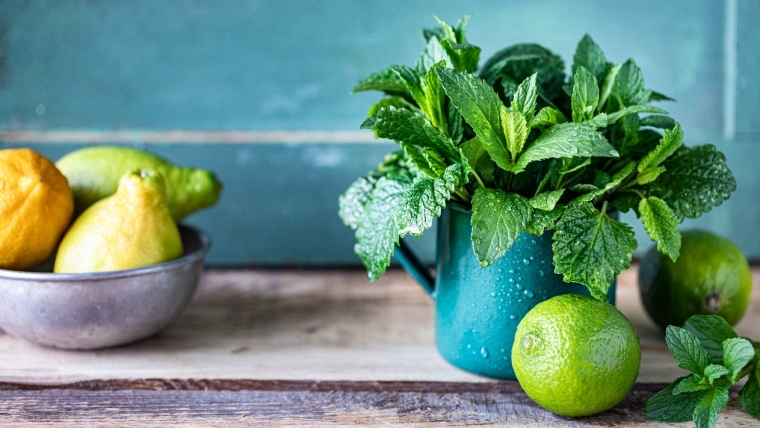 Jakie zioła hodować na parapecie w kuchni?