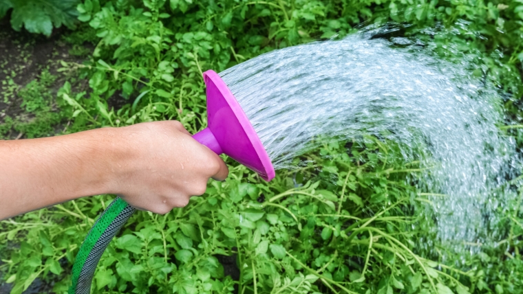 Oszczędzanie wody w ogrodzie - zadbaj o ekologię!