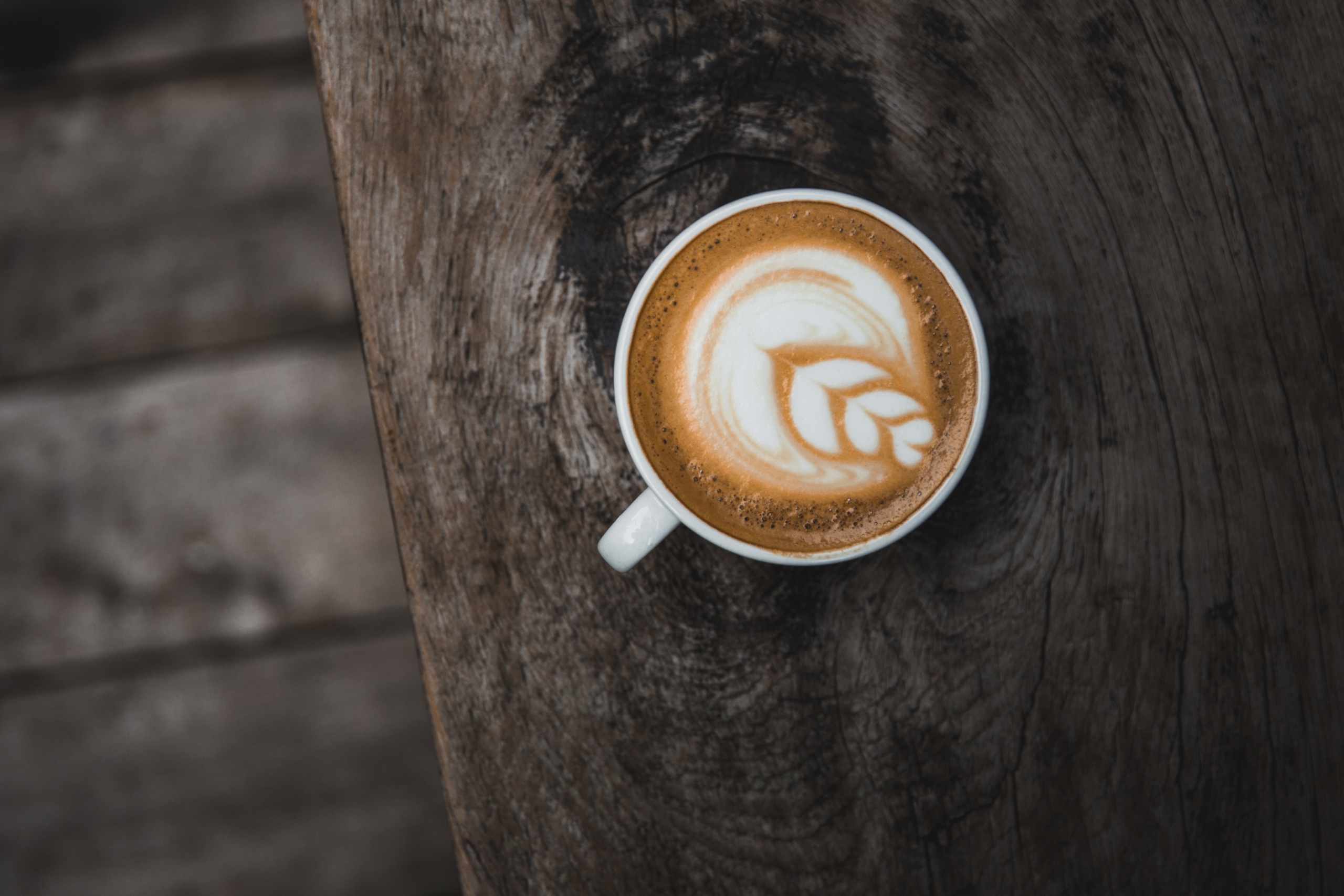 Co ma wpływ na smak kawy?
