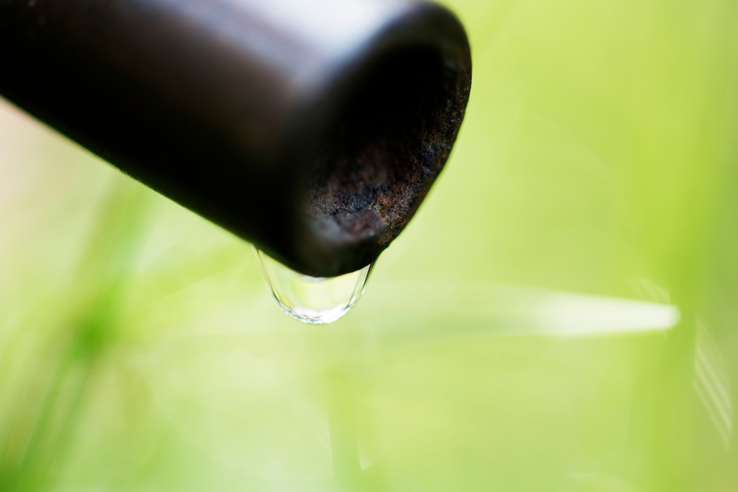 Jak oszczędzać wodę dzięki wykorzystaniu systemów gromadzenia deszczówki?